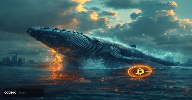 A cinematic editorial photograph depicting a massive, ancient deep-ocean whale breaking the surface of dark, turbulent waters