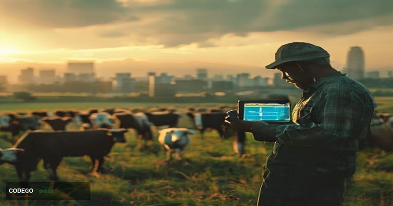 A cinematic editorial photograph shot at golden hour on a sprawling Brazilian dairy farm in Minas Gerais, with a herd of Hols